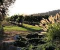 Thalgara Estate Winery image 1
