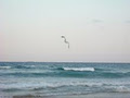 The Beach Houses - Cotton Tree image 4