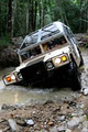 The Billabong, Kuranda image 3