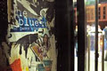 The Blue Room logo