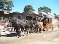 The Bowls Tour Company - Small Tour Operator image 3