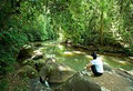 The Canopy Rainforest Treehouses & Wildlife Sanctuary image 3