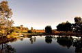 The Grove Liqueur Factory image 4