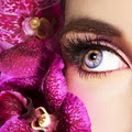 The Lash Salon image 1