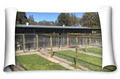 The Paw House Boarding Kennels logo