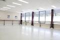 The Premier Dance Academy image 1