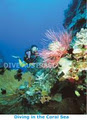 The Scuba Centre image 1