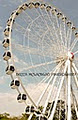 The Wheel of Brisbane logo
