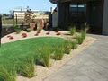 Titan Turf image 3