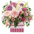 Townsville Florist image 5