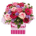 Townsville Florist image 6