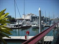 Townsville Yacht Club Marina image 1