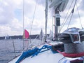 Ultimate Sailing image 4