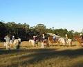 Valhalla Horse Riding & Farm Holidays image 1