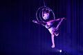 Vulcana Women's Circus image 1