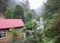 Walhalla Log Cabin image 5