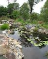 Wallis Creek Watergarden image 5