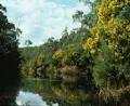 Warrandyte State Park logo