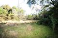 Wauchope Bonny Hills Real Estate image 6