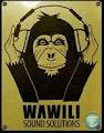 Wawili Sound Solutions image 2