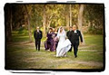 Weddings N Portraits image 5