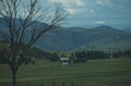 Wee Jasper Station Accommodation - the Shearers Quarters image 3