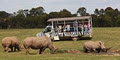 Werribee Open Range Zoo logo