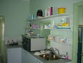 West End Veterinary Surgery image 1