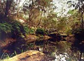 Wirrimbirra Sanctuary image 6