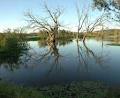 Wonga Wetlands logo