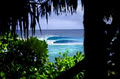 World Surfaris image 5