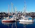 Wynnum-Manly Yacht Club logo