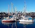 Wynnum-Manly Yacht Club image 1