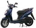 mopedcity logo