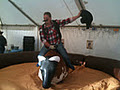 rideabull mechanical bull hire image 2