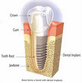 A1 Dental Care logo