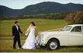 Albany Wedding Cars logo