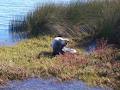 Australind Tourist Park image 3