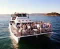 BHS Boat Hire Sydney image 4