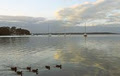 BIG4 Lake Macquarie Monterey Tourist Park image 1