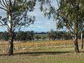 Barangaroo Boutique Wines image 1