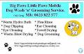 Big Paws Little Paws Mobile Dog Wash N Groom logo