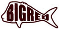 Big Red Fishing Charters logo