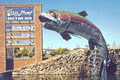 Big Trout Motor Inn image 1
