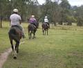 Billabong Park Horse Riding Centre image 2