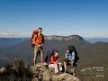 Blue Mountains Honey image 5