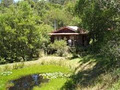 Bluegums Cabins image 3