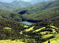 Bluegums Cabins image 1