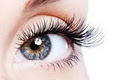 Boutique Lashes logo