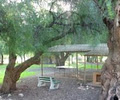 Bowman Park image 2